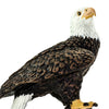 Safari Ltd Bald Eagle-SAF291129-Animal Kingdoms Toy Store