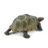 Safari Ltd Desert Tortoise-SAF295329-Animal Kingdoms Toy Store