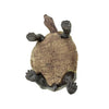 Safari Ltd Desert Tortoise-SAF295329-Animal Kingdoms Toy Store
