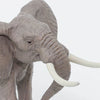 Safari Ltd African Bull Elephant-SAF295629-Animal Kingdoms Toy Store