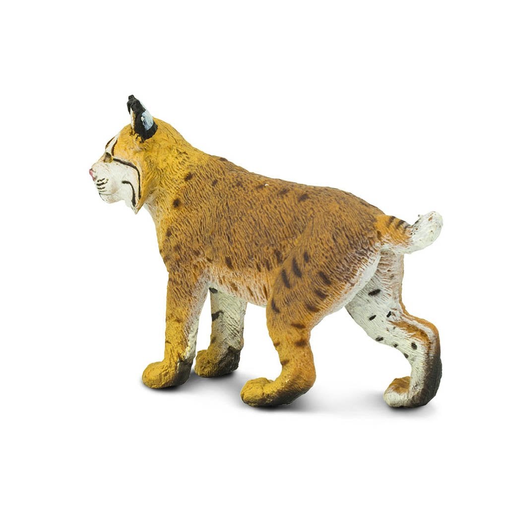 Safari Ltd Bobcat – Animal Kingdoms Toy Store