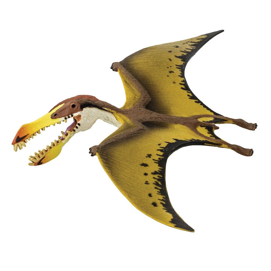 Safari Ltd Pterosaur-SAF299729-Animal Kingdoms Toy Store