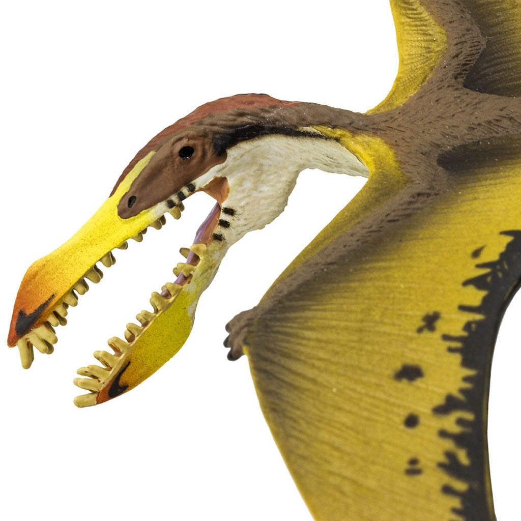 Safari Ltd Pterosaur-SAF299729-Animal Kingdoms Toy Store