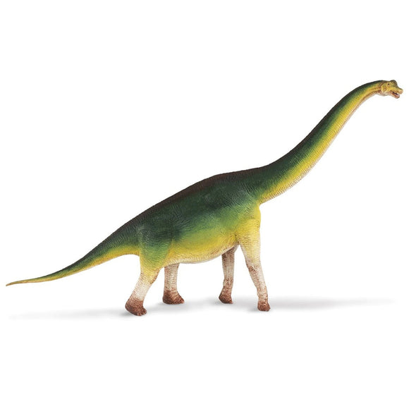 Safari Ltd Brachiosaurus-SAF300229-Animal Kingdoms Toy Store