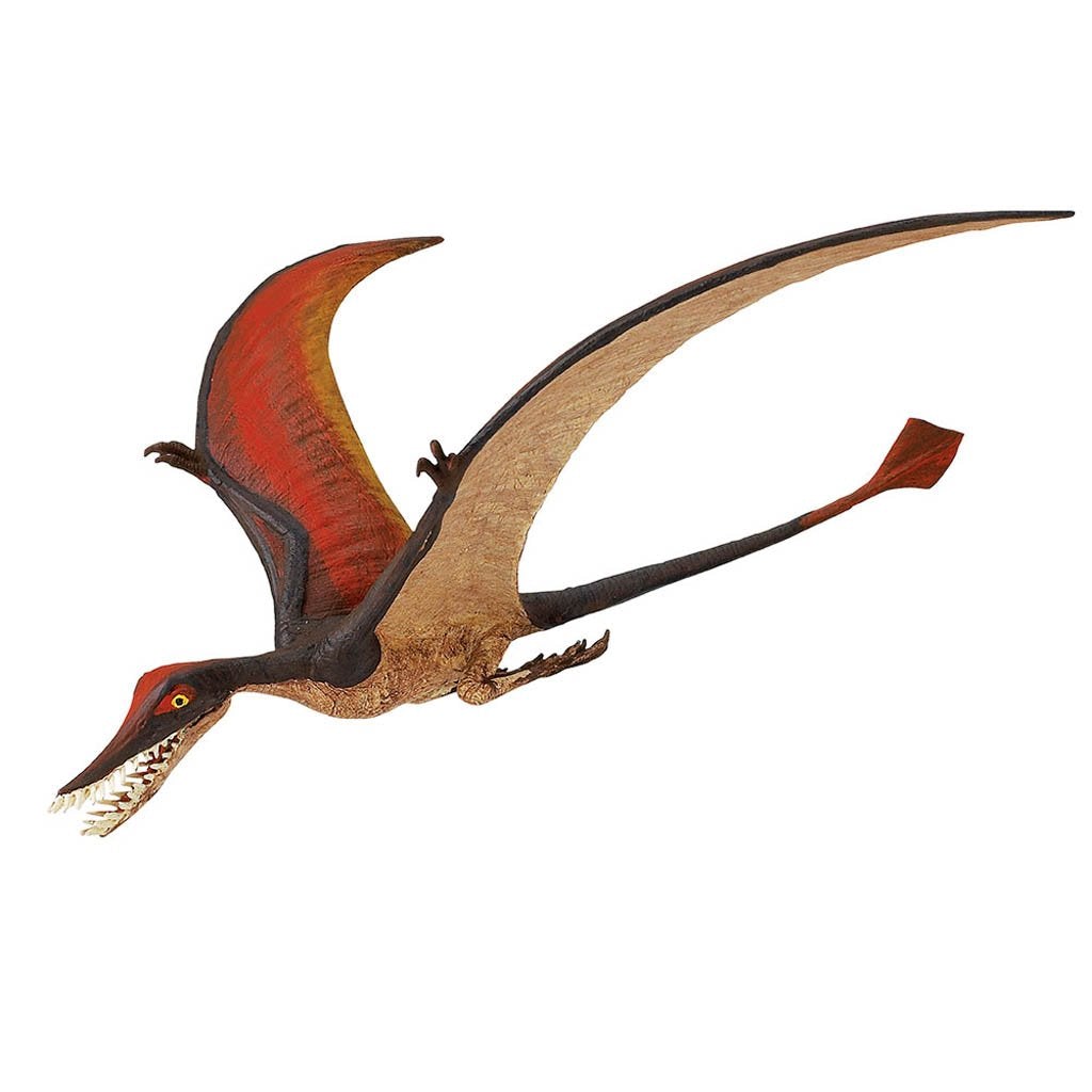 Safari Ltd Rhamphorhynchus-SAF300329-Animal Kingdoms Toy Store
