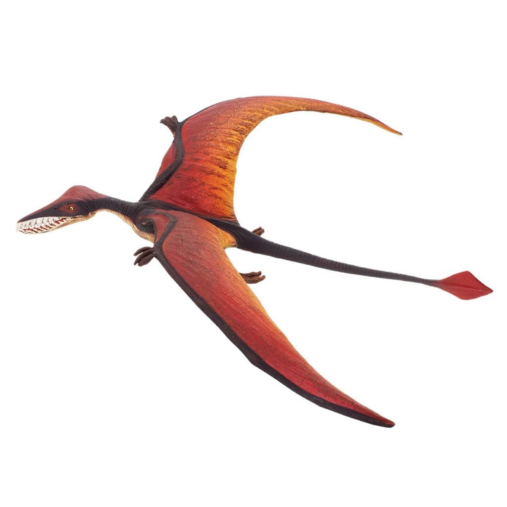 Safari Ltd Rhamphorhynchus-SAF300329-Animal Kingdoms Toy Store