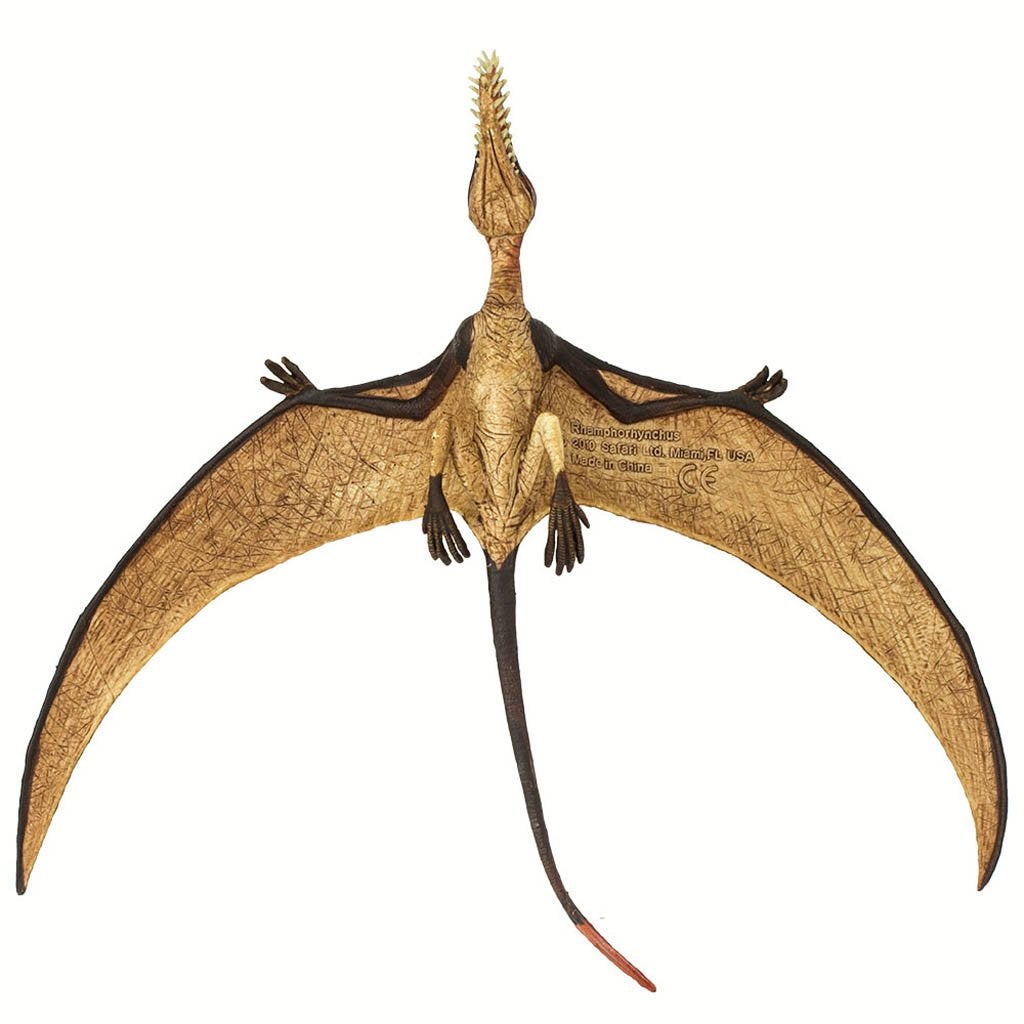 Safari Ltd Rhamphorhynchus-SAF300329-Animal Kingdoms Toy Store