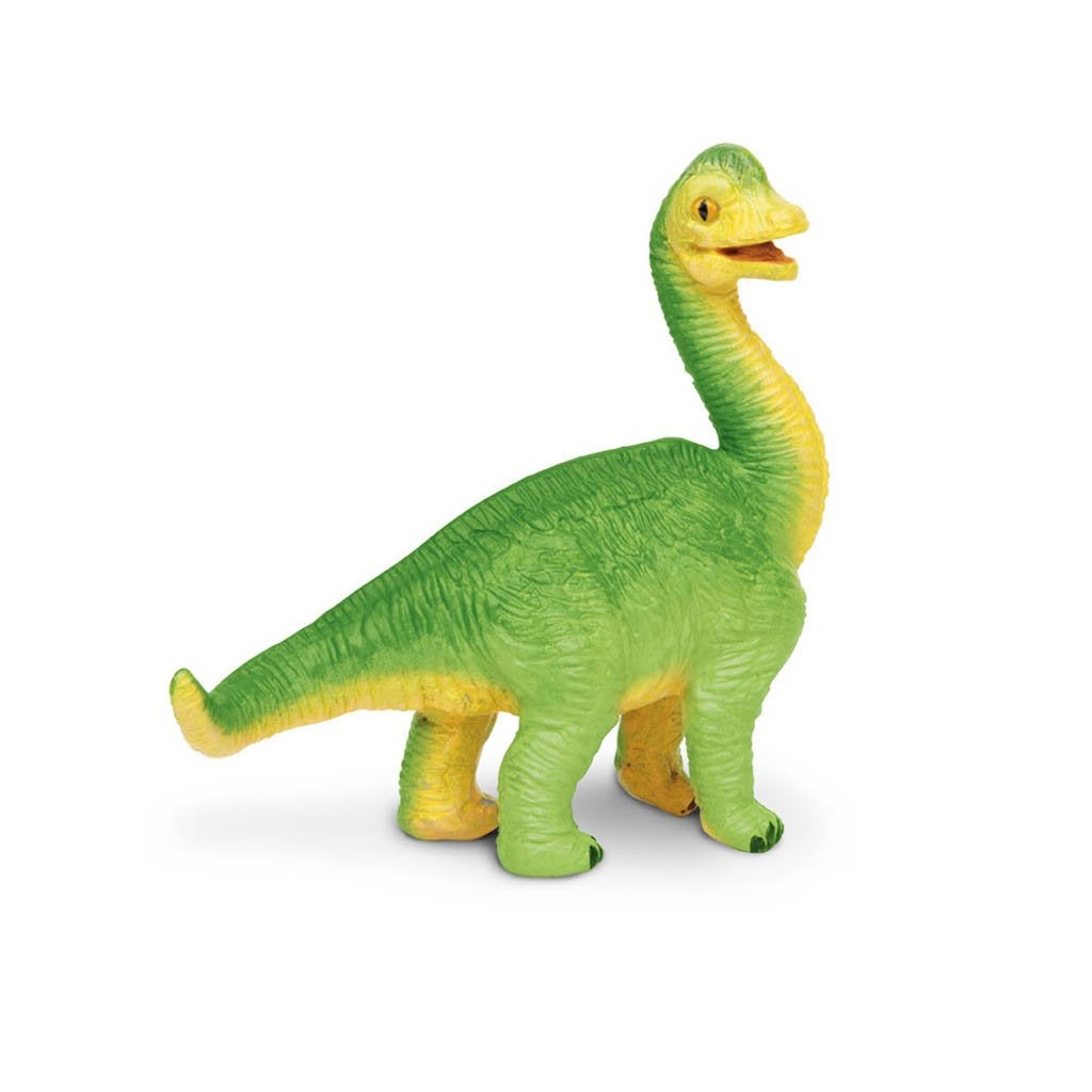 Safari Ltd Brachiosaurus Baby-SAF301229-Animal Kingdoms Toy Store