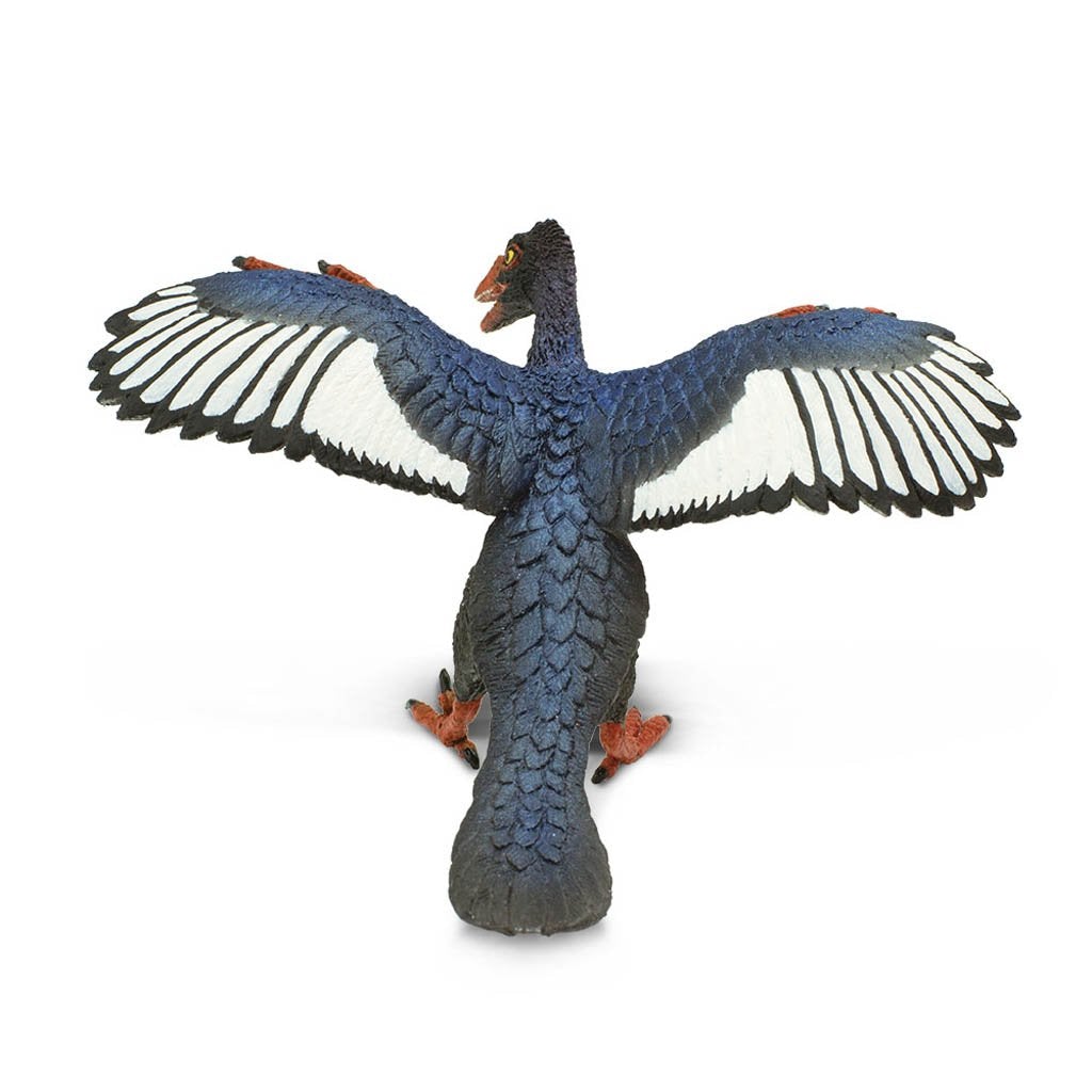 Safari Ltd Archaeopteryx-SAF302829-Animal Kingdoms Toy Store