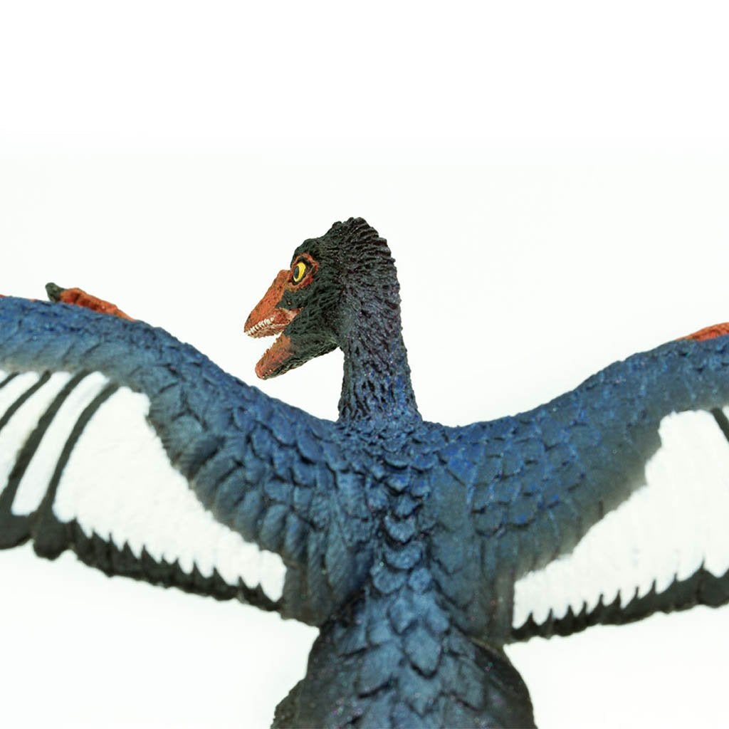 Safari Ltd Archaeopteryx – Animal Kingdoms Toy Store