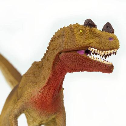 Safari Ltd Ceratosaurus-SAF303029-Animal Kingdoms Toy Store