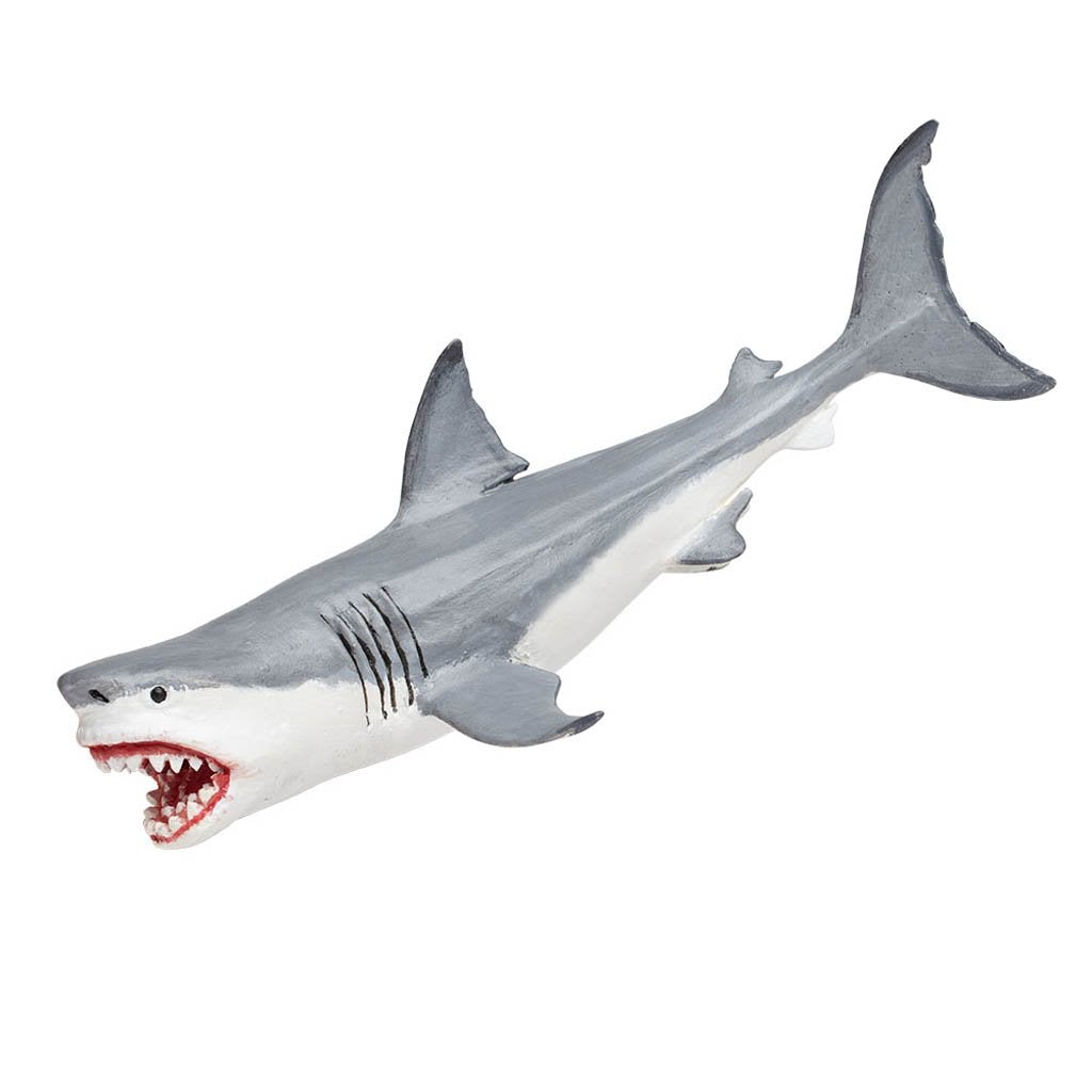 Safari Ltd Megalodon-SAF303329-Animal Kingdoms Toy Store
