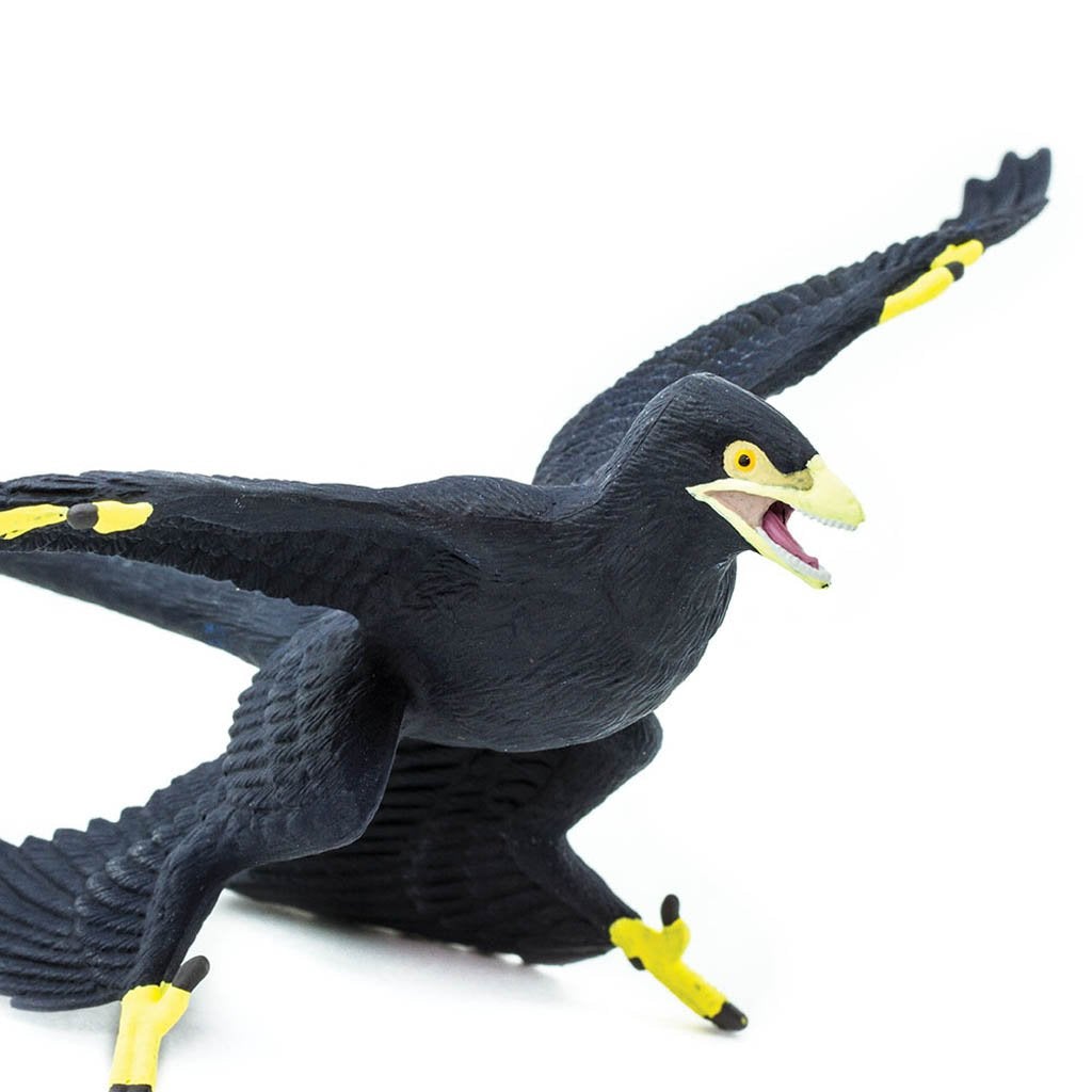 Safari Ltd Microraptor-SAF304129-Animal Kingdoms Toy Store