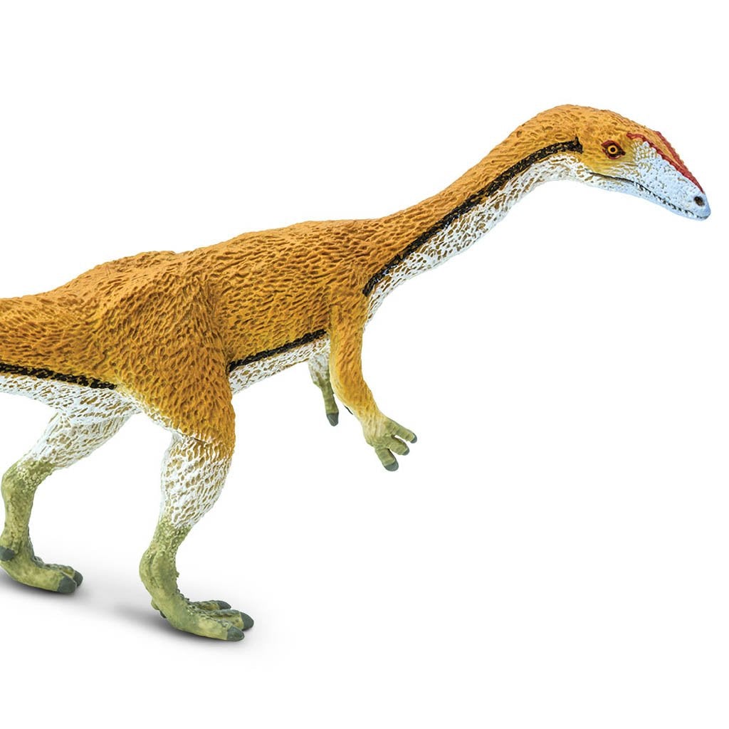 Safari Ltd Coelophysis-SAF304529-Animal Kingdoms Toy Store