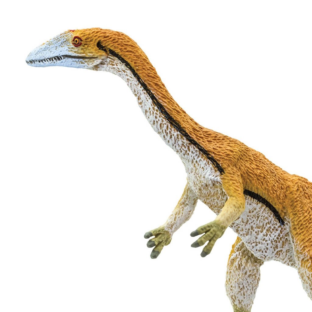 Safari Ltd Coelophysis-SAF304529-Animal Kingdoms Toy Store