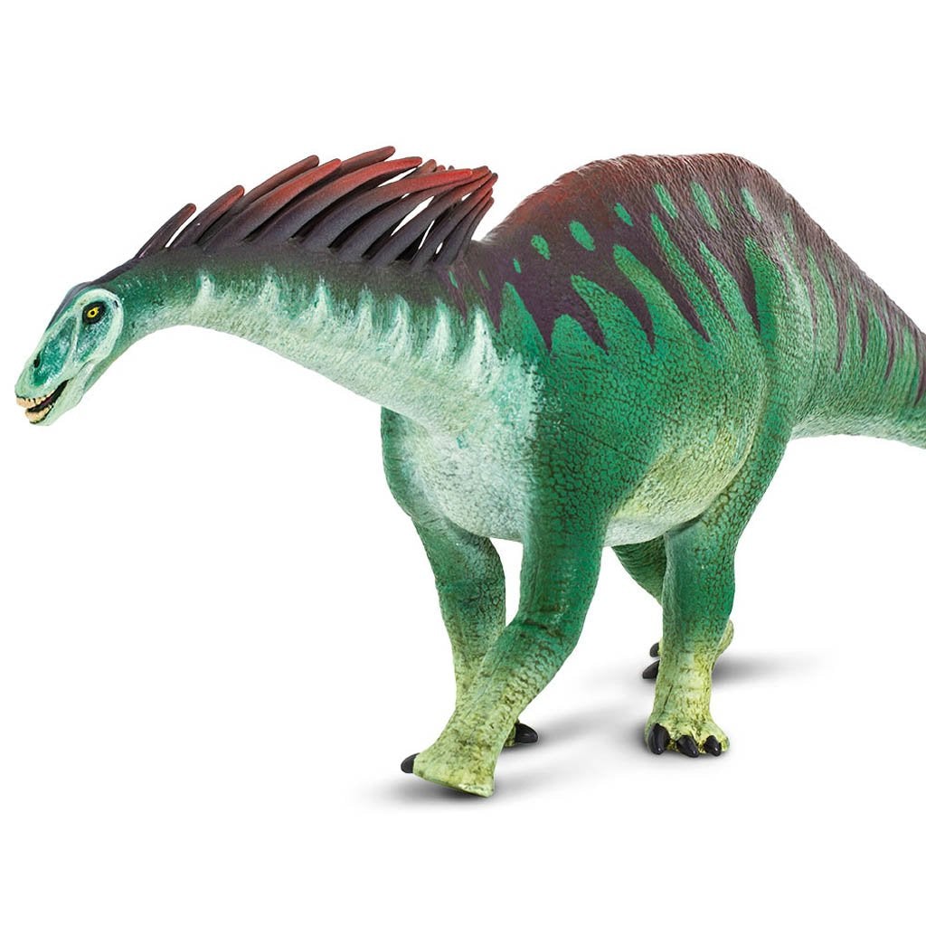 Safari Ltd Amargasaurus-SAF304629-Animal Kingdoms Toy Store