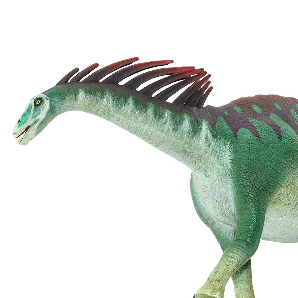 Safari Ltd Amargasaurus-SAF304629-Animal Kingdoms Toy Store