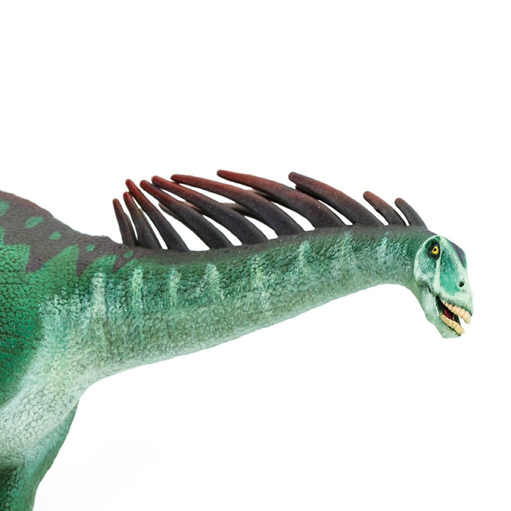 Safari Ltd Amargasaurus-SAF304629-Animal Kingdoms Toy Store