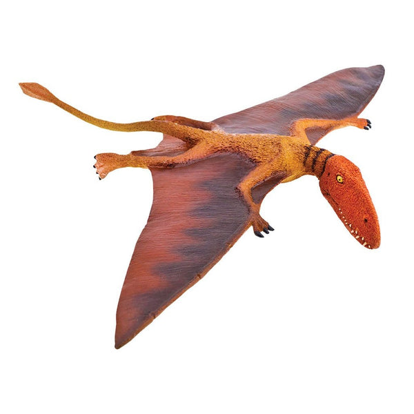 Safari Ltd Dimorphodon-SAF304729-Animal Kingdoms Toy Store