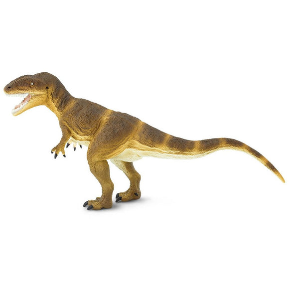 Safari Ltd Carcharodontosaurus-SAF305229-Animal Kingdoms Toy Store