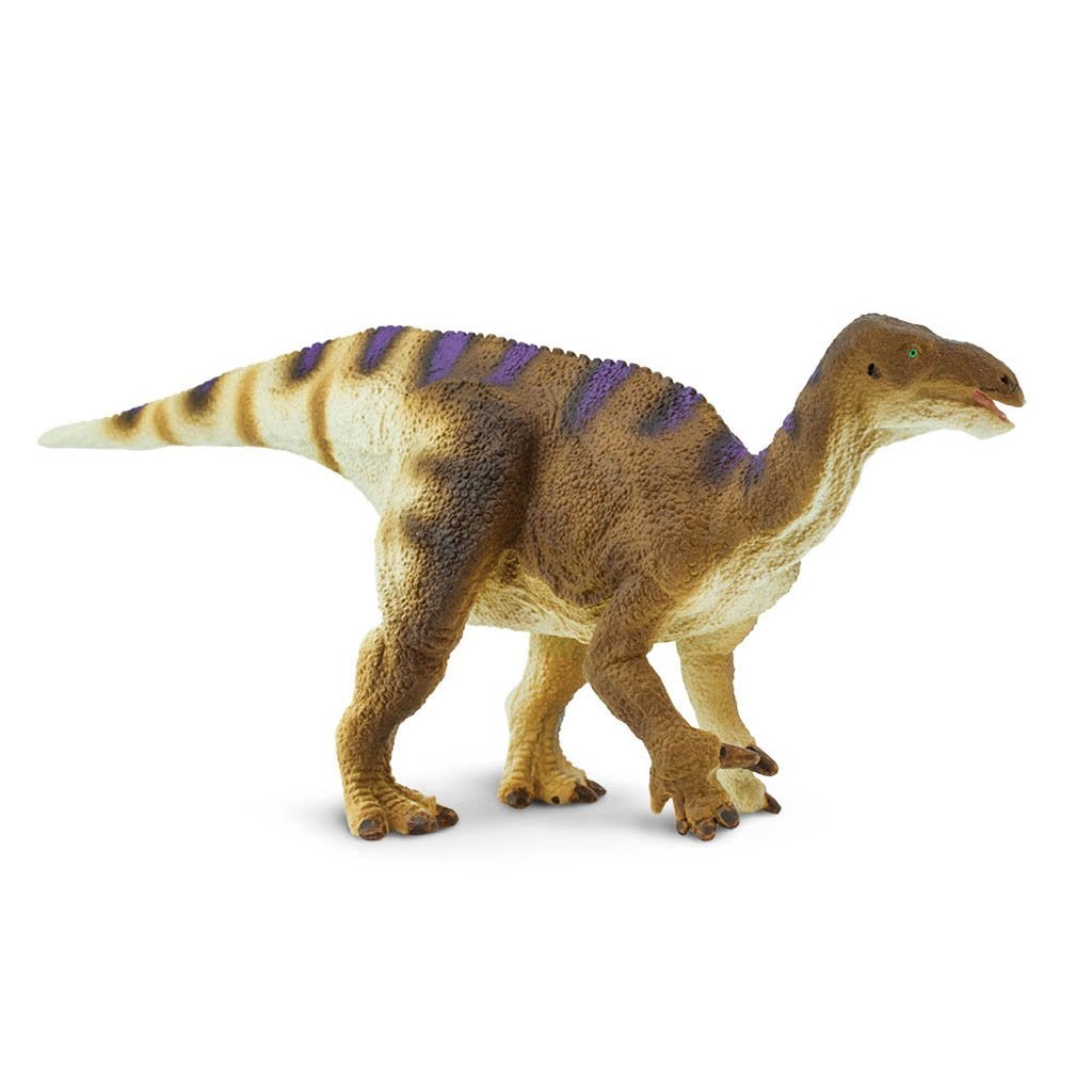 Safari Ltd Iguanodon-SAF305429-Animal Kingdoms Toy Store