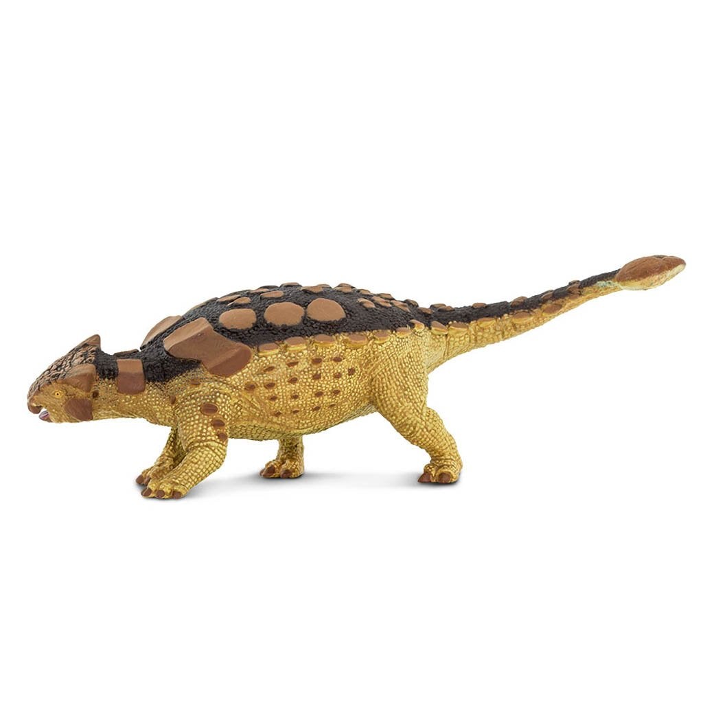 Safari Ltd Ankylosaurus-SAF306129-Animal Kingdoms Toy Store