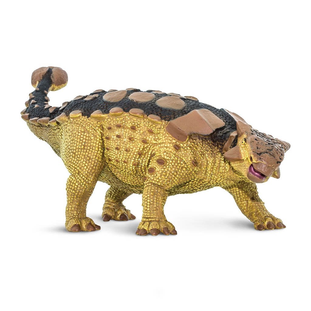 Safari Ltd Ankylosaurus-SAF306129-Animal Kingdoms Toy Store