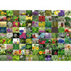 Ravensburger 99 Herbs And Spices 1000pc Puzzle-RB15991-8-Animal Kingdoms Toy Store