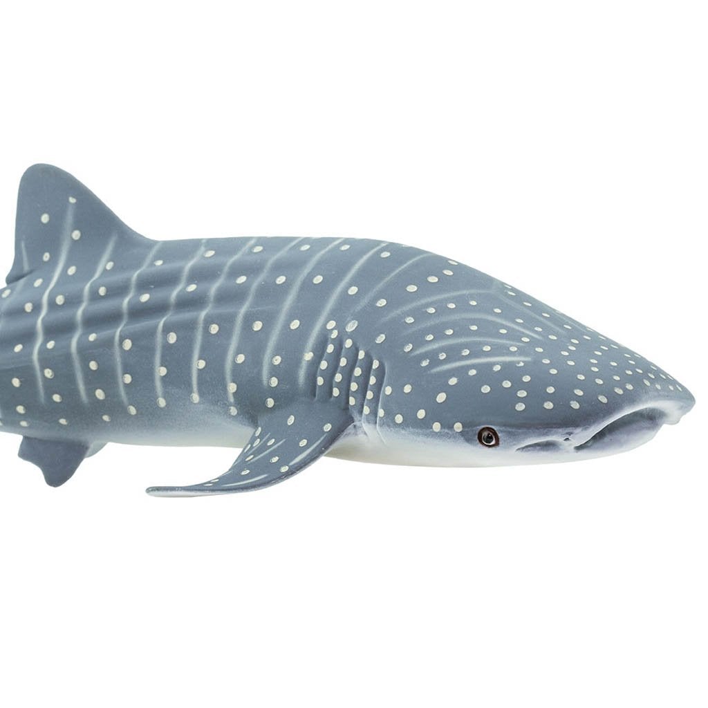 Safari Ltd Whale Shark-SAF422129-Animal Kingdoms Toy Store