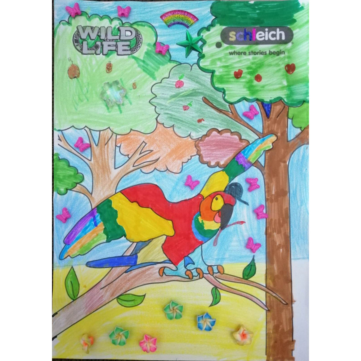 Colouring Competition 2022