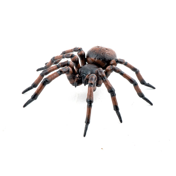 Papo Common Spider