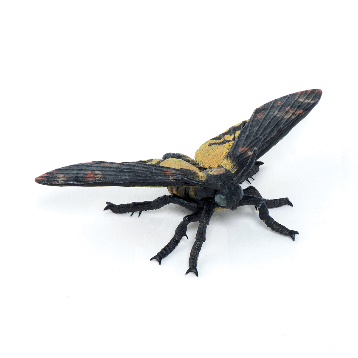 Papo Moth