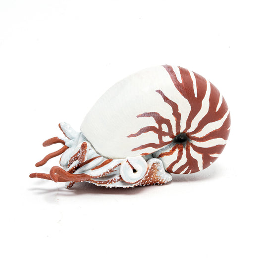Papo Nautilus