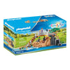 Playmobil Outdoor Lion Enclosure-70434-Animal Kingdoms Toy Store