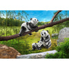 Playmobil Pandas with Cub-70353-Animal Kingdoms Toy Store