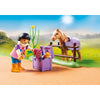 Playmobil Country Collectable Icelandic Pony