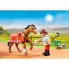 Playmobil Country Collectable Connemara Pony