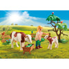 Playmobil Farm with Small Animals