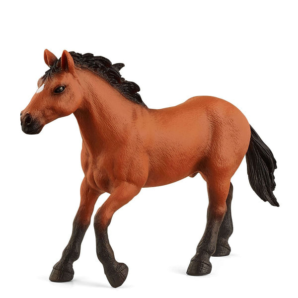 Schleich Exclusive Appaloosa Stallion-72152-Animal Kingdoms Toy Store