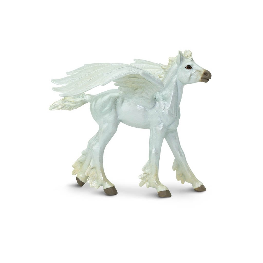 Safari Ltd Baby Pegasus-SAF803729-Animal Kingdoms Toy Store