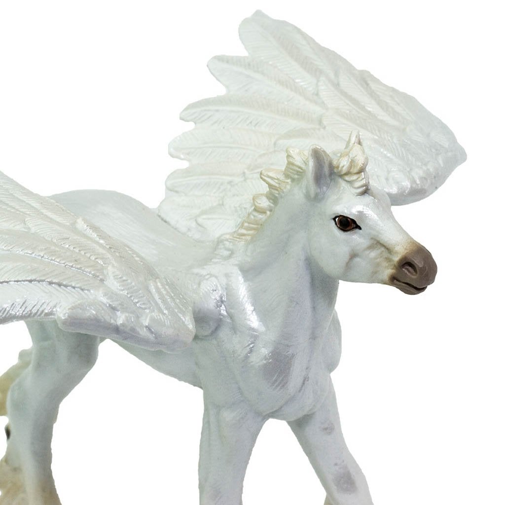 Safari Ltd Baby Pegasus-SAF803729-Animal Kingdoms Toy Store