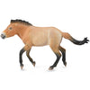 CollectA Przewalski Stallion-88602-Animal Kingdoms Toy Store