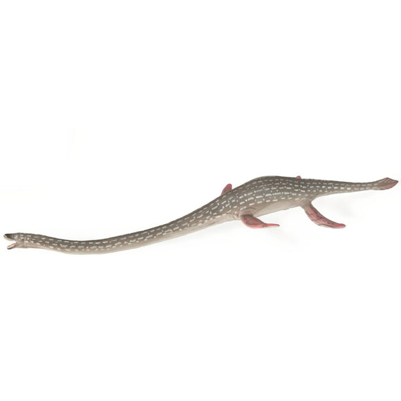 CollectA Elasmosaurus-88922-Animal Kingdoms Toy Store