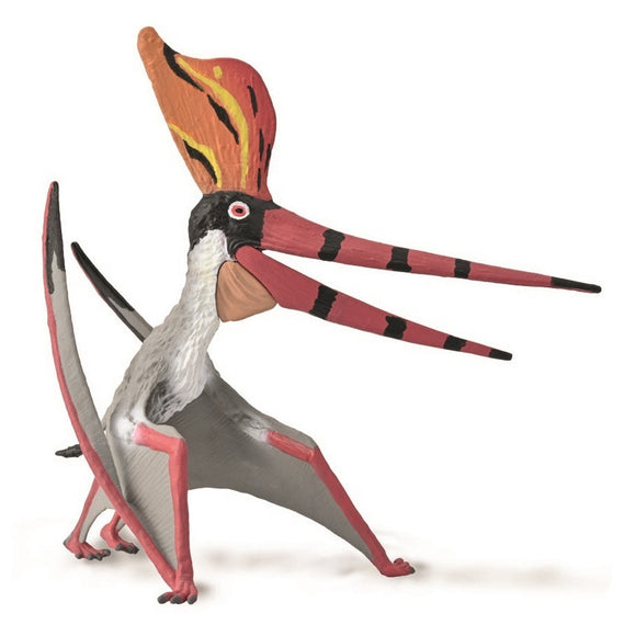 CollectA Pteranodon Sternbergi Deluxe with Moveable Jaw