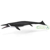 CollectA Shastasaurus