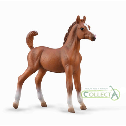 CollectA Arabian Foal - Chestnut
