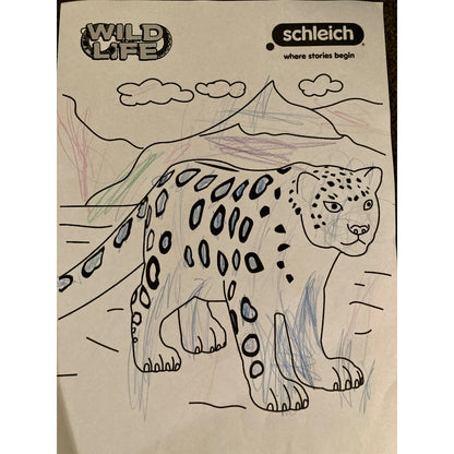 Colouring Competition 2022