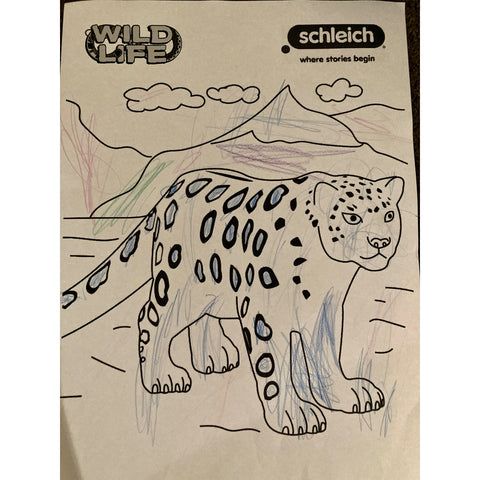 Colouring Competition 2022