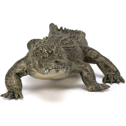 Papo Alligator-50254-Animal Kingdoms Toy Store