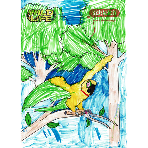 Colouring Competition 2022